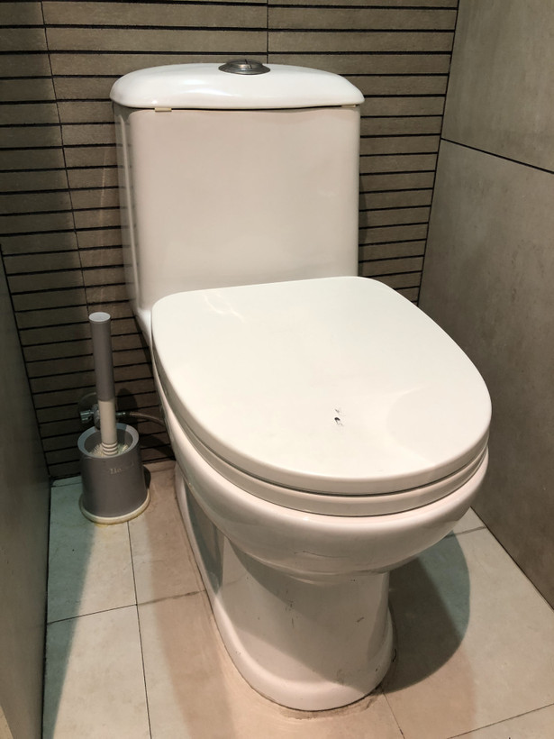 توالت فرنگی ورونا مروارید ارزان