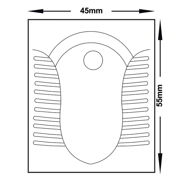 توالت زمینی آدلیا